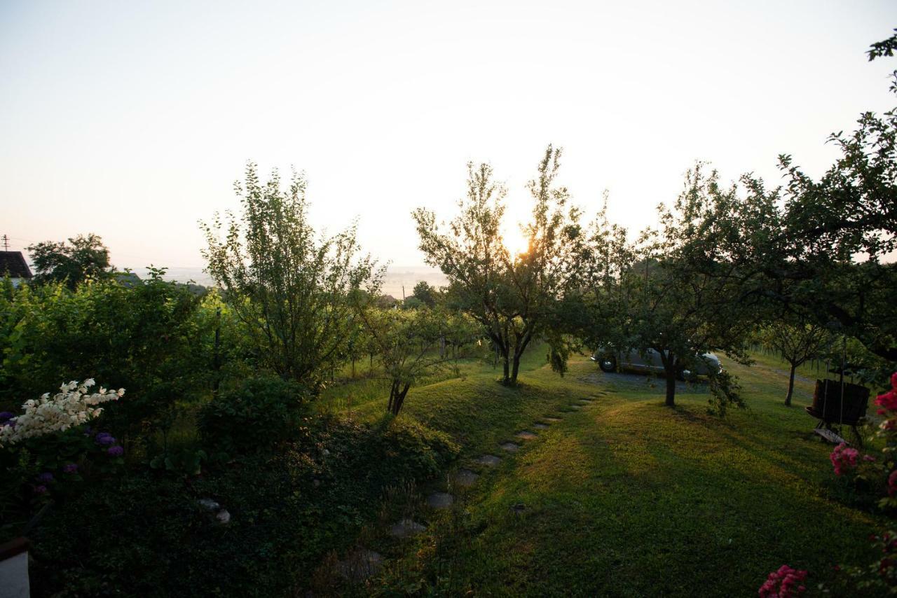 Weingarten Lodge Winten  Екстер'єр фото